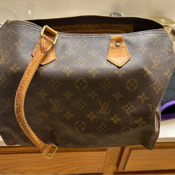 Louis Vuitton Handbags - Louis Vuitton Speedy